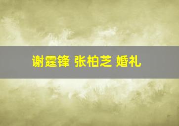 谢霆锋 张柏芝 婚礼